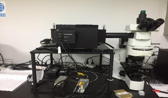 瞬态荧光显微镜